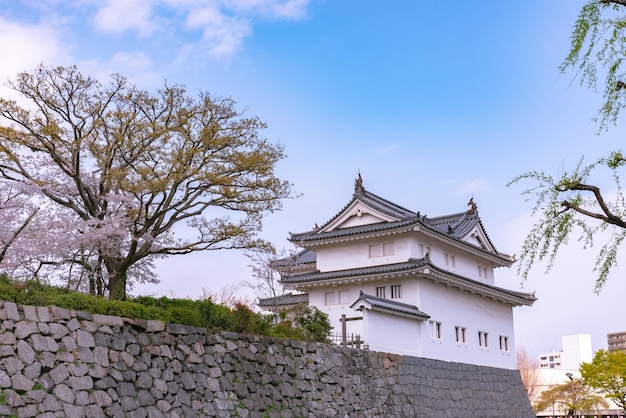 Sunpu Castle TatsumiYagura during Cherry blossoms Shizuoka Japan