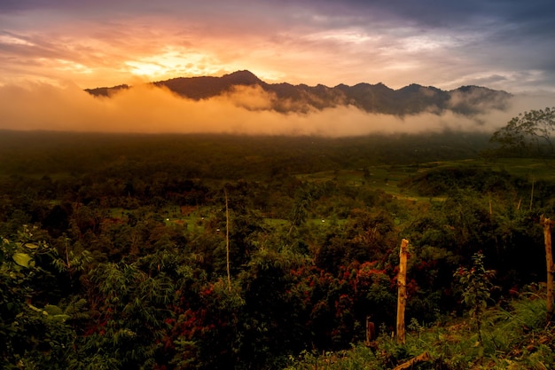 Sunrise landscape with mountain and forest. Rural morning view