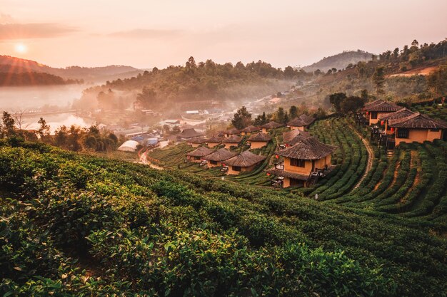 Sunrise at Lee wine Rak Thai, Chinese settlement, Mae Hong Son, Thailand