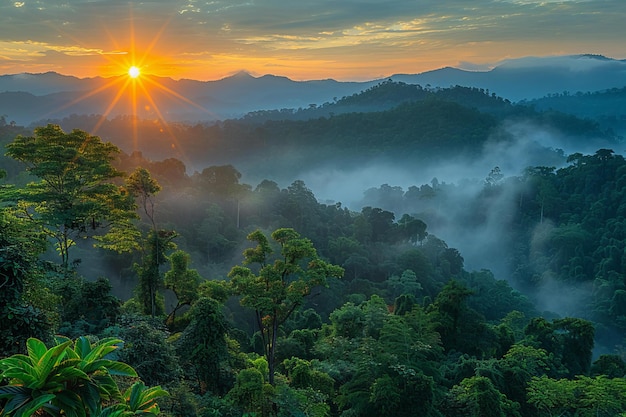 a sunrise over a mountain with a forest in the background