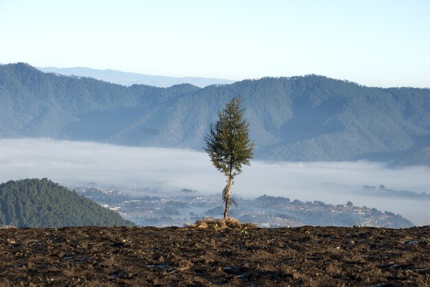 Sunrise mountains cultivated with picturesque villages