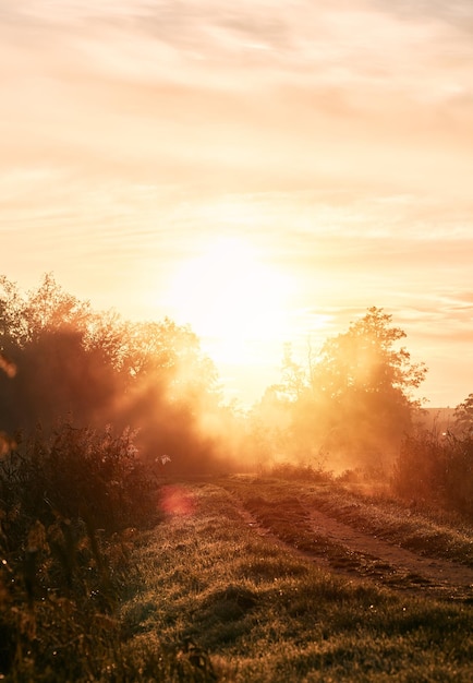 Sunrise over the river Concept of early waking and new beginning