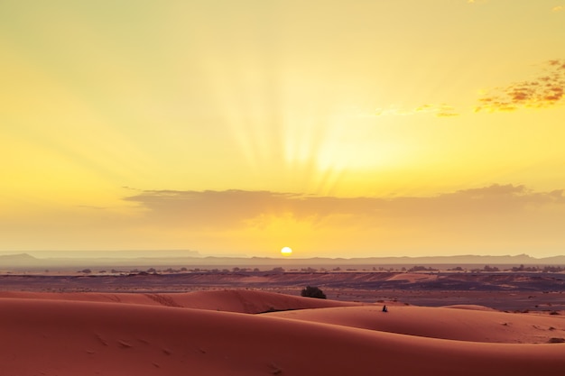 Sunrise in the Sahara desert, Morocco.