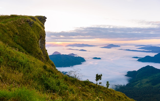 Sunrise and sea of mist at  phucheefa forest park