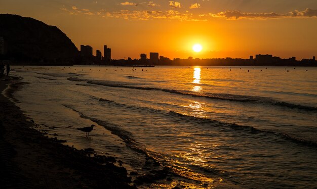 The sunrise seen from the postiguet beach in Alicante, with seagulls, buildings against the light.