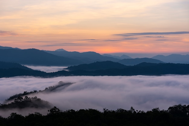 Sunrise up over top large stacked mountain and fog over forest.