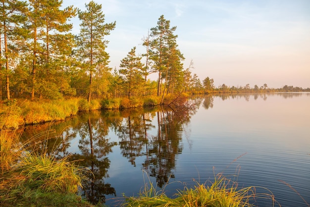 Sunrise at Yelnya Bog Belarus one of the largest swamps in Europe