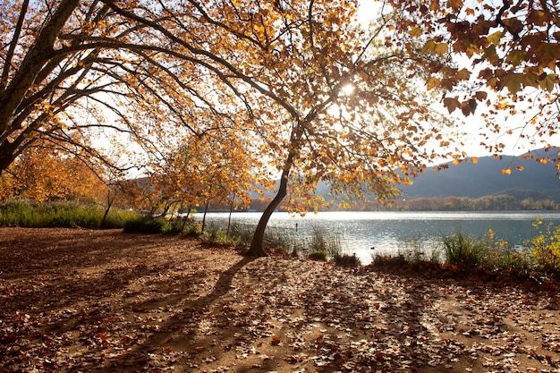 Sunset on the Banyoles lake on an autumn day Banyoles Girona province Catalonia Spain