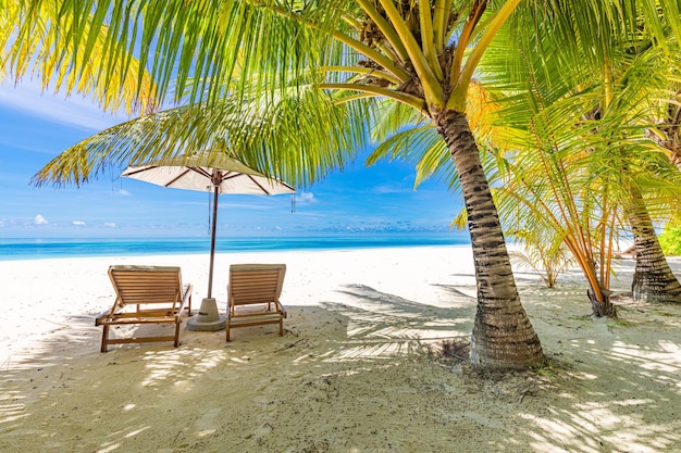 Sunset beach getaway couple destination scenic, honeymoon wallpaper. Palm tree idyllic sky sea sand