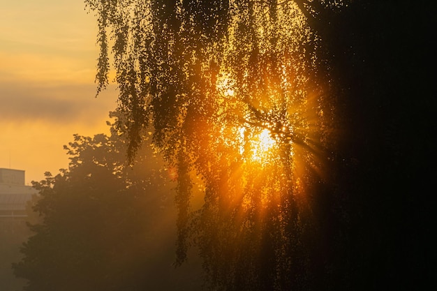 Photo sunset beam