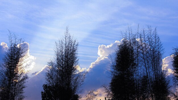 Sunset behind beautiful clouds and trees