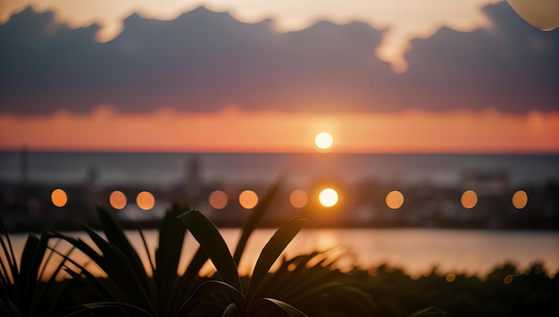 Photo a sunset over a body of water with a plant in the foreground