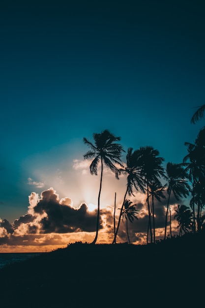 Sunset in the caribbean