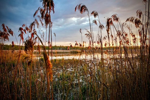 Sunset over a clean natural lake