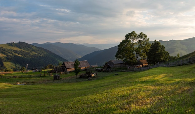 Sunset on the field in the Carpathians