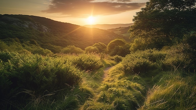 A sunset over a field with a path leading to the top of it