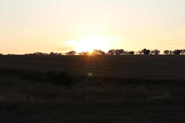 A sunset over a field