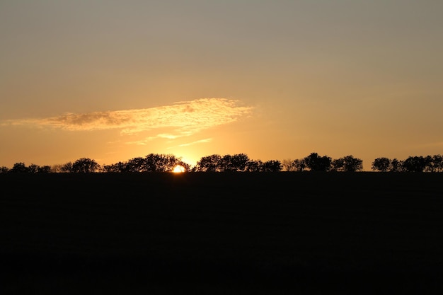 A sunset over a field