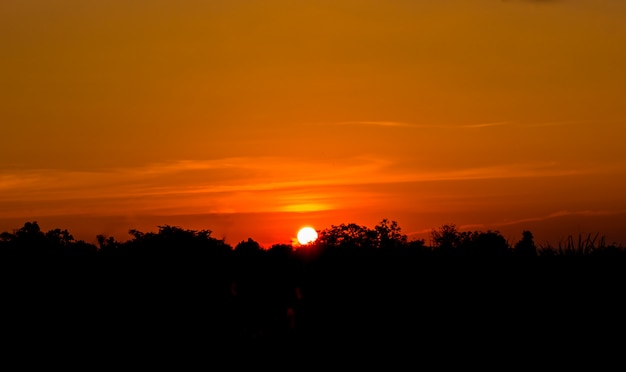 The sunset on the forest have orange sky.