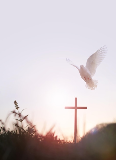 The sunset forest white dove and the holy cross of Jesus Christ symbolize death and resurrection lov