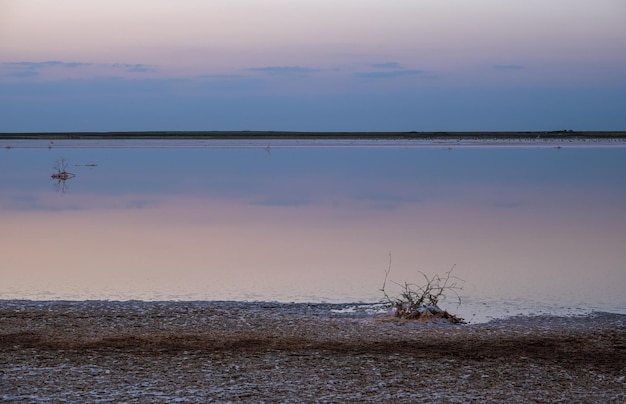 Sunset Genichesk pink salty lake Ukraine