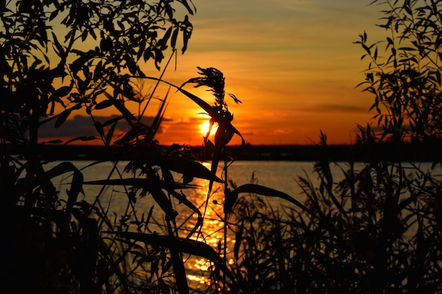 Sunset on the lake during summer