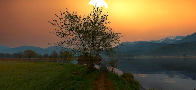 a sunset over a lake with a tree and a man walking on the side