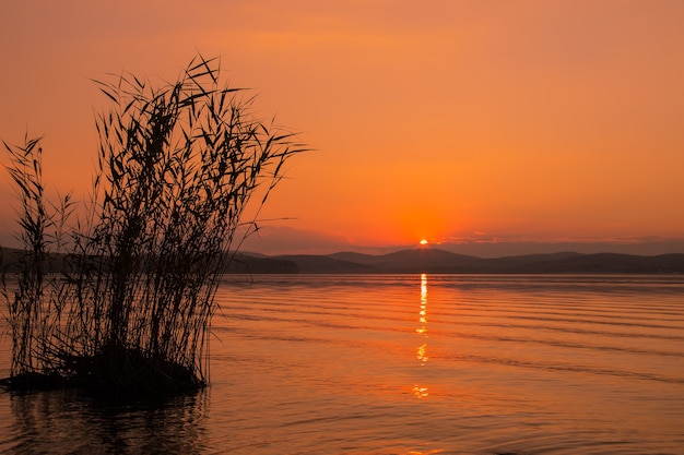 Sunset landscape in orange tints featuring the sun setting behind the mountains on the horizon reflected in the lake with silhouettes of tall grass in the foreground