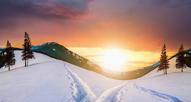 Sunset landscape with mountain hills and snowy valley with spruce trees under vibrant colorful evening sky in winter.