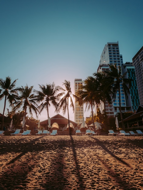 Sunset on the Miami Beach with palm trees