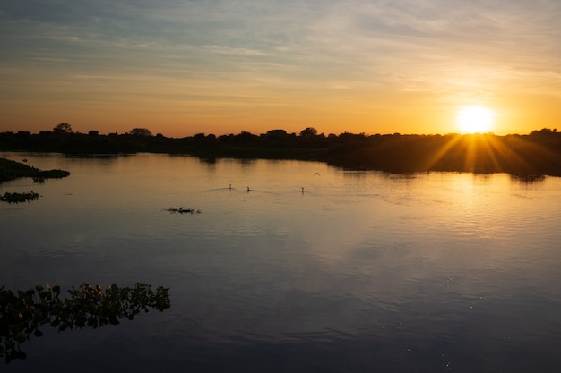 Sunset in the Pantanal of the State of Mato Grosso close to Pocone Mato Grosso Brazil