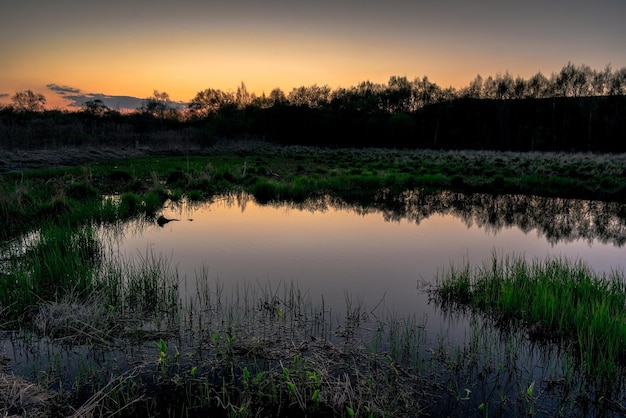 Sunset over a pond with young green grass and a reflective surface of the water