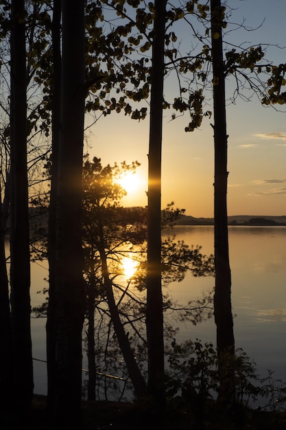 Sunset on the river through the trees