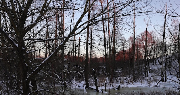 sunset on a river whose banks are covered with ice