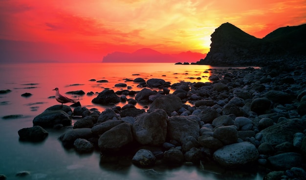 Sunset over rocky coast