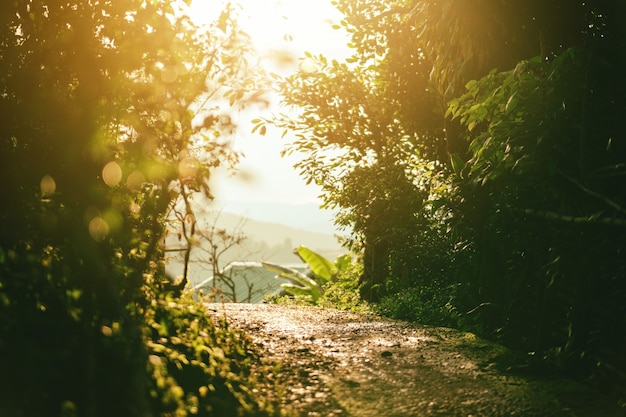 Sunset on rural road in countryside