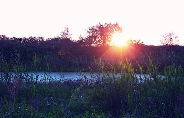 Sunset scene on the lake