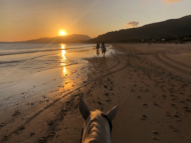 sunset scenery on the beach riding a horse