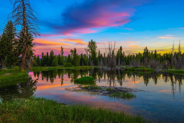 Sunset in schwabacher landing of grand teton national park wyoming