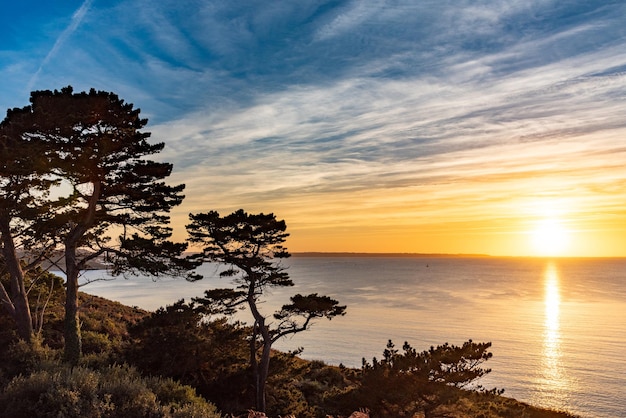 Sunset over the sea with pine trees in the foreground somewhere on the north coast of Brittany