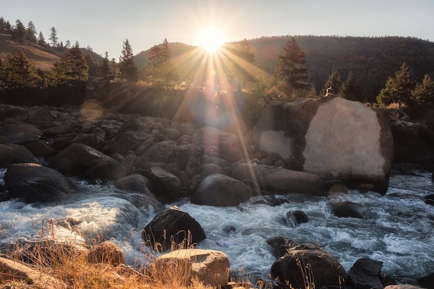 Sunset shining on pine forest with waterfall flowing in national park