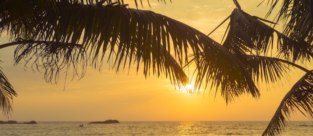 Sunset on the shore of the Indian Ocean.