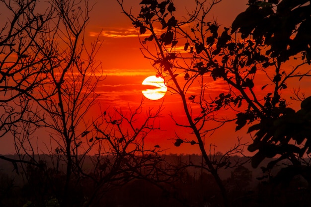 Sunset sky background