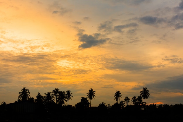 Sunset sky background