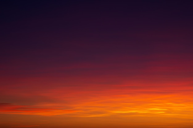 Sunset sky over the forest Pink clouds in the sky