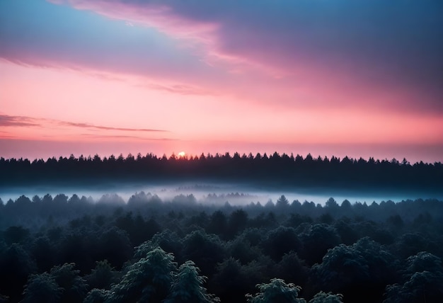 Sunset sky with pink and blue hues over a dense forest