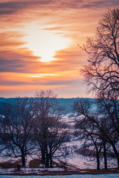 Photo sunset over snowy landscape with bare trees in winter scenery