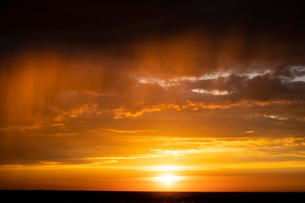 Sunset or sunrise in a spring field with green grass, willow trees and cloudy sky. Sunbeams making