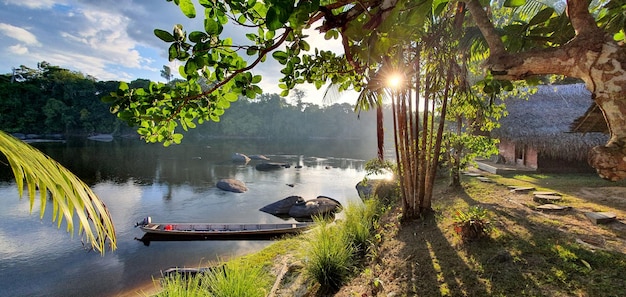 Sunset in Suriname Amazonas River with Palm trees and reflecting Water