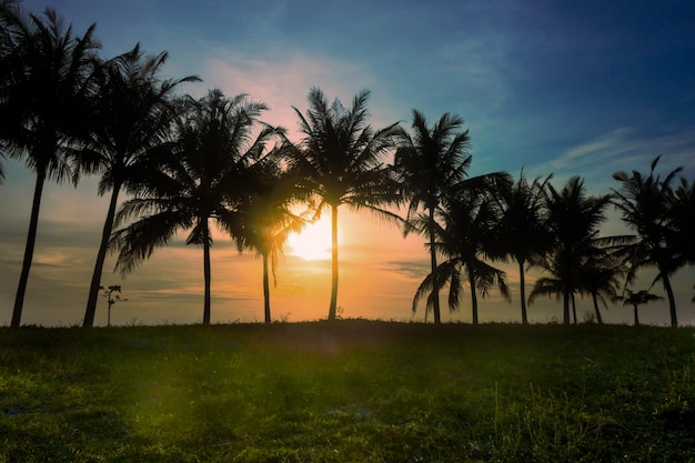 Sunset in tropical beach with palms